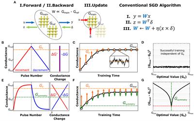 Neural Network Training With Asymmetric Crosspoint Elements